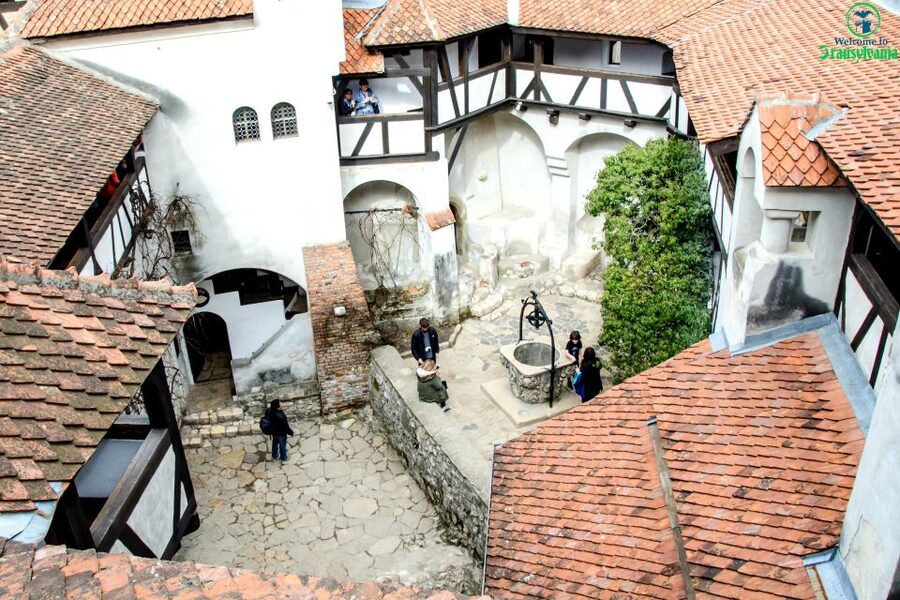 Visit Bear Sanctuary and Bran Castle from Brasov - Quick hits: what makes this trip worth your time