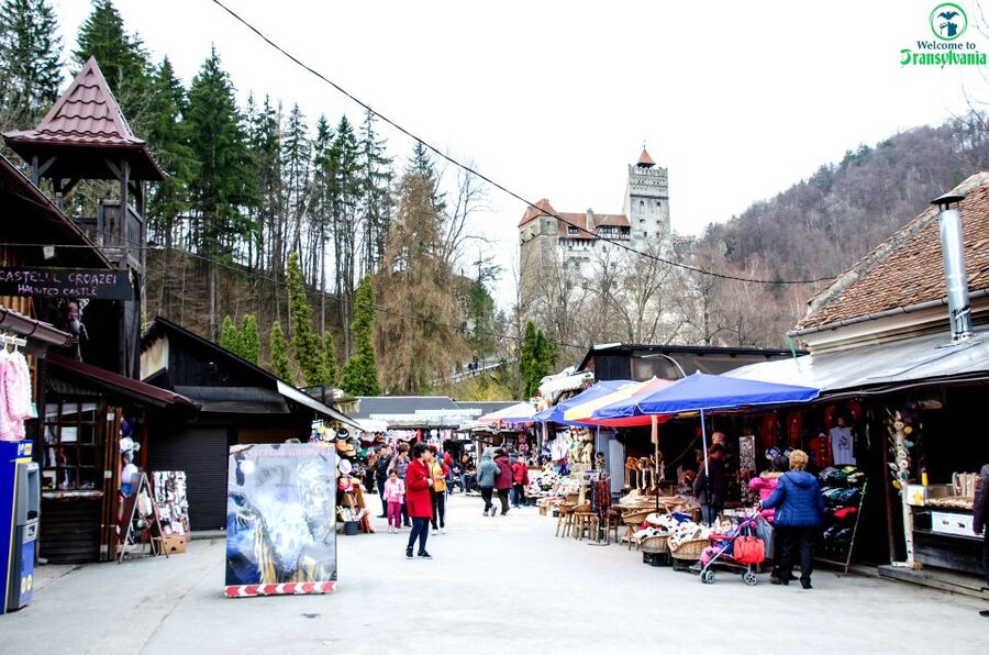 Visit Bear Sanctuary and Bran Castle from Brasov - How this half-day tour actually plays out from Brasov