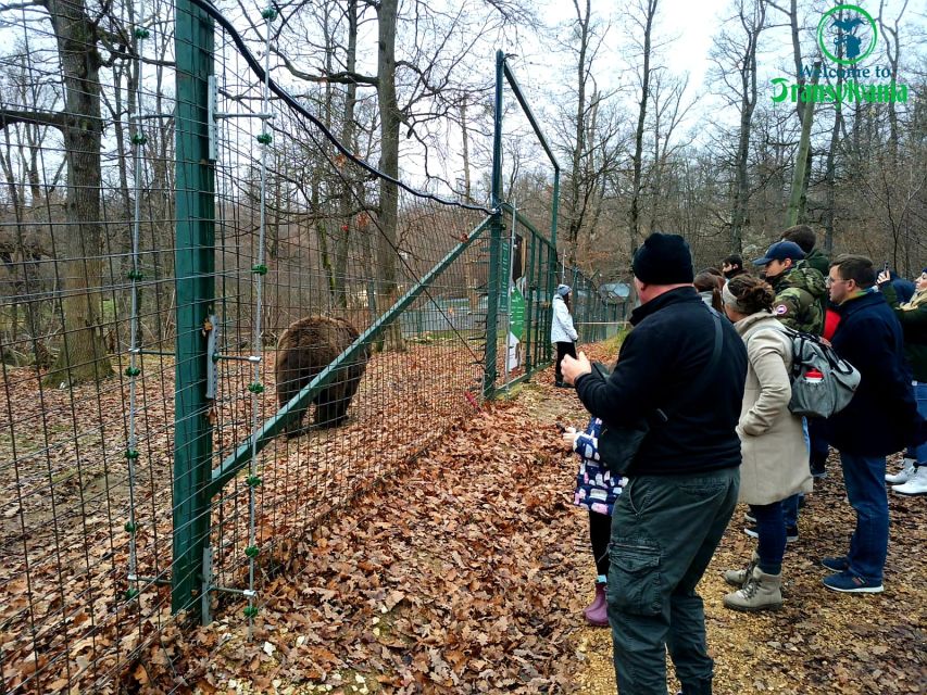 Visit Bear Sanctuary and Bran Castle from Brasov - Price and value: what $83 includes, and what costs extra
