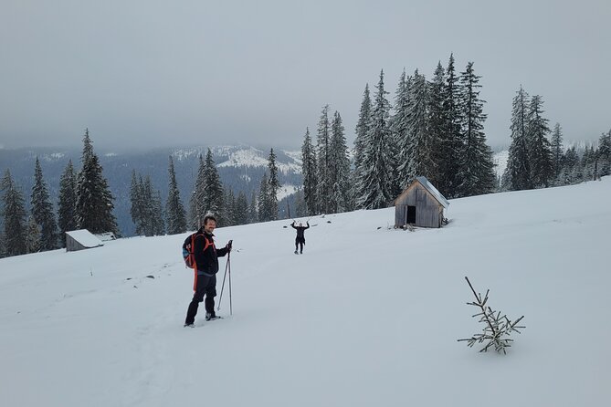 Vladeasa Peak and Bride's Waterfall Day Hike - Winter Hikes in Vlădeasa: What Changes and What Stays Important