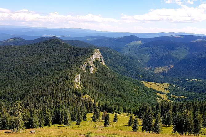 Vladeasa Peak and Bride's Waterfall Day Hike - Bride’s Waterfall: The Scenic Warm-Up Before the Climb