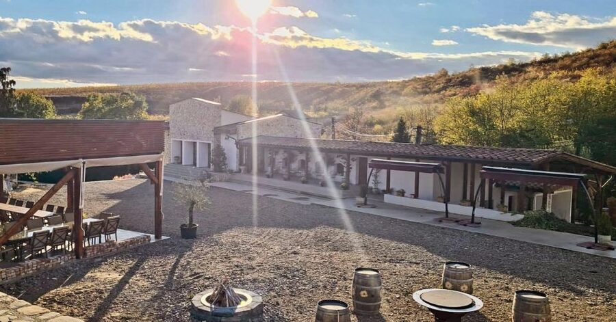 Winery touring & private wine tasting - one day private tour - Key points before you go