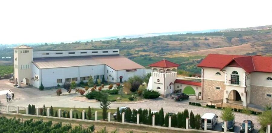 Winery touring & private wine tasting - one day private tour - The Sub Carpathian wine road: why this day trip works